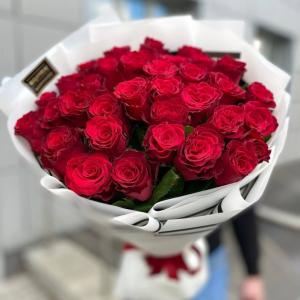 Розы Rhodos на акции