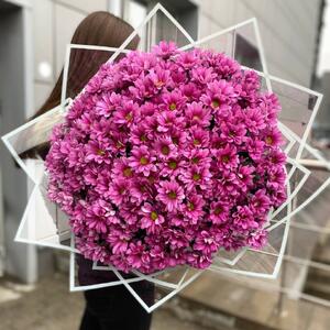 501 желтая ромашка