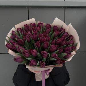 51 фиолетовых тюльпанов