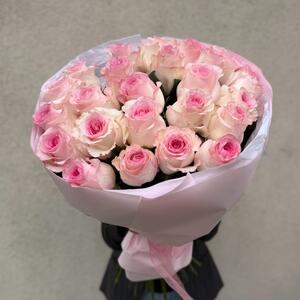 Букет 25 роз Лола (Lola)