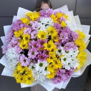 251 микс ромашка