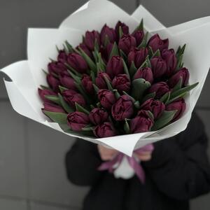 35 фиолетовых тюльпанов