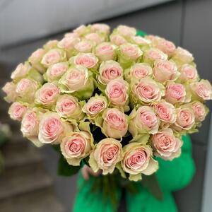 роза мандала 51