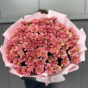 151 медовая ромашка