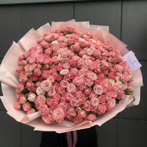 Кустовая роза Жизель