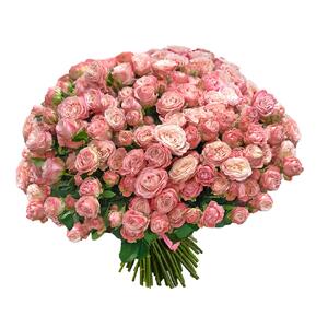 Кустовые розы