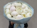 Белые Пионы 15 шт.