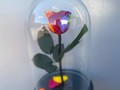 Вечная роза в колбе микс