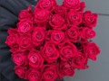 Букет 25 роз Шангри Ла (Shangri La)