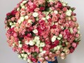 101 ветка кустовых роз микс