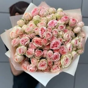 15 веток кустовых роз Кристи (Kristine)