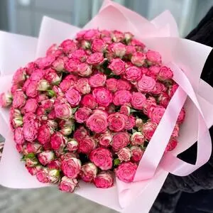 25 веток кустовых роз Хэйли (Haley)