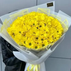 101 желтая ромашка