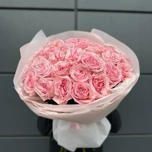 33 розы Пинк Охара (Pink Ohara)