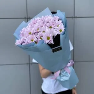 51 нежно-розовая ромашка