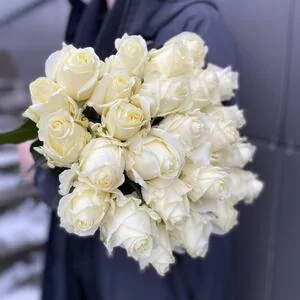 Букет 25 роз Анабель (Anabel)