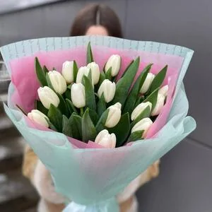 17 белых тюльпанов