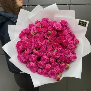 25 веток кустовых роз Классик Сенсейшн (Classic Sensation)