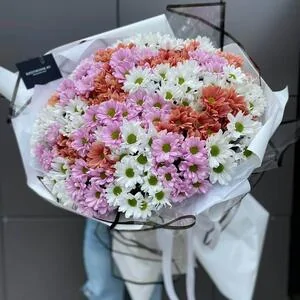 351 микс ромашка