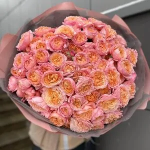 35 веток кустовых роз Джульетта (Julieta)