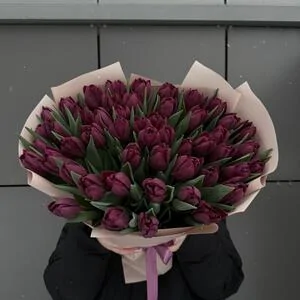 51 фиолетовых тюльпанов