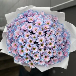 251 бабл гам ромашка