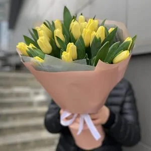 23 лимонных тюльпанов