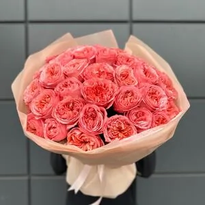 33 розы Пинк Экспрешн (Pink Expression)