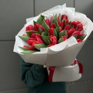 35 красных тюльпанов