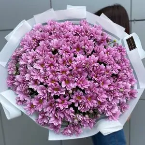 201 розовая ромашка