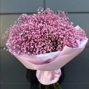 Букет из гипсофилы 8 (21 шт.)