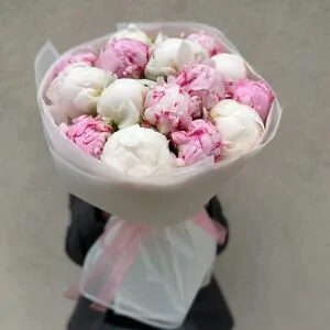 Пионы Микс 15 шт.