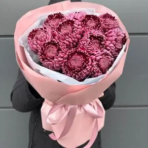 25 веток розовой хризантемы Момоко