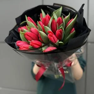 25 красных тюльпанов