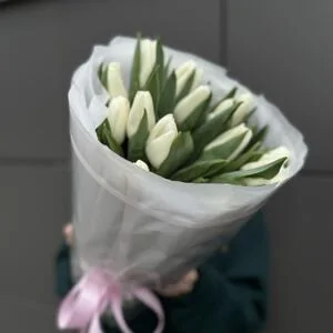 15 белых тюльпанов