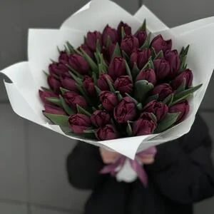 35 фиолетовых тюльпанов