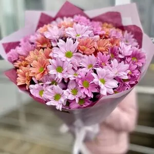 101 микс ромашка