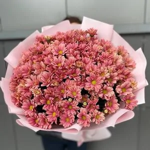 151 медовая ромашка