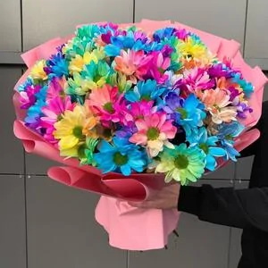 201 радужная ромашка