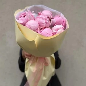 Розовые пионы 7 шт.