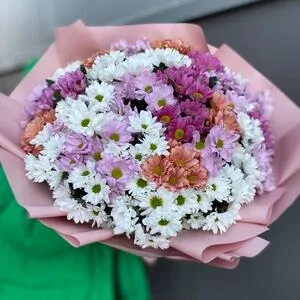 301 микс ромашка