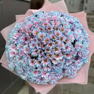 501 бабл гам ромашка