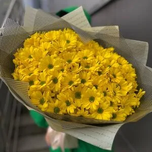 151 желтая ромашка