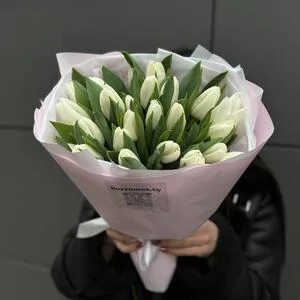 25 белых тюльпанов