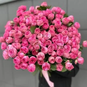 Кустовая роза Мэнсфилд Парк Пинк (Mansfield Park Pink) 7 веток