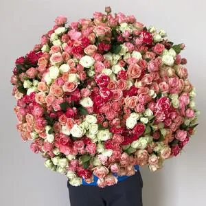 101 ветка кустовых роз микс