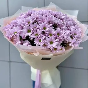 151 нежно-розовая ромашка