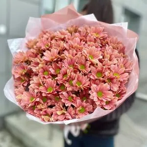 101 медовая ромашка