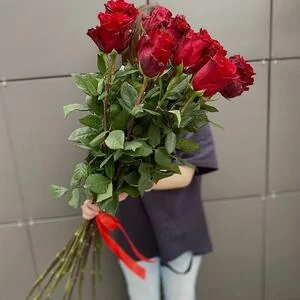 Букет 15 метровых роз Фридом (Freedom)