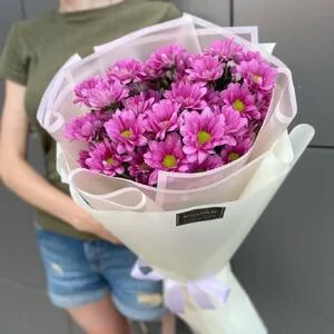 51 малиновая ромашка